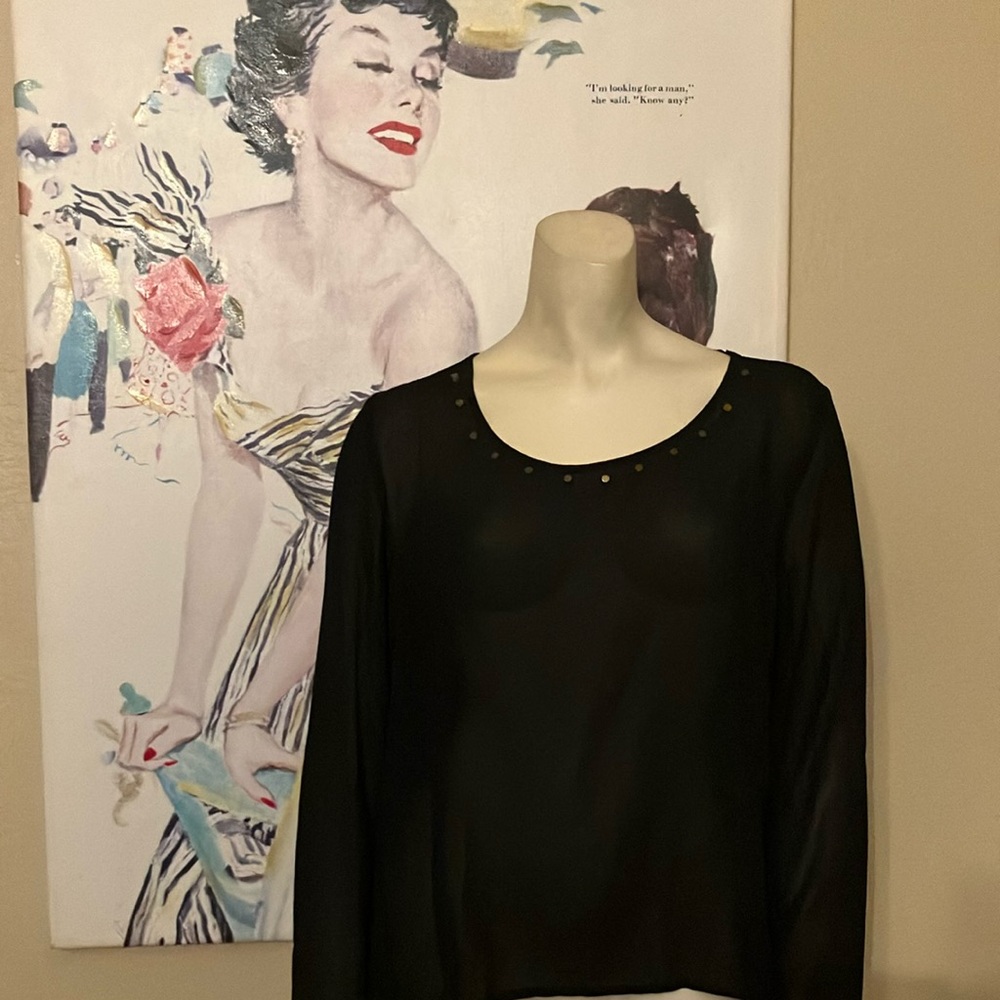 Elegant Black Sheer Women's Top